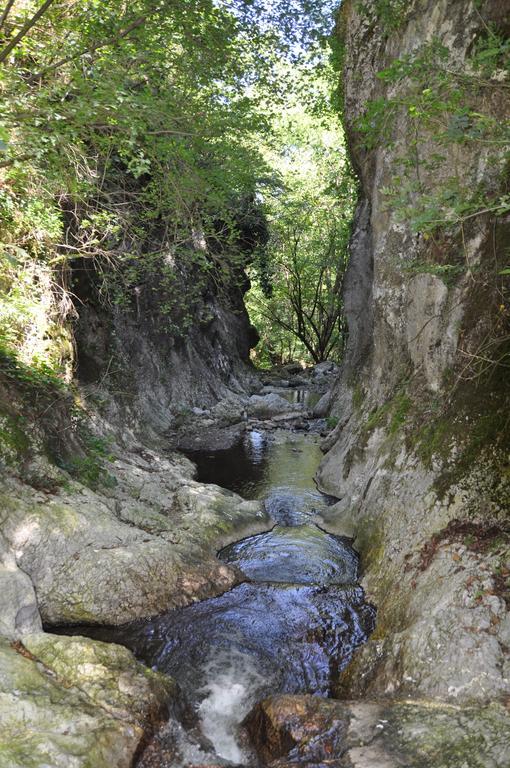 Apartman Bogojevic Golubac Esterno foto