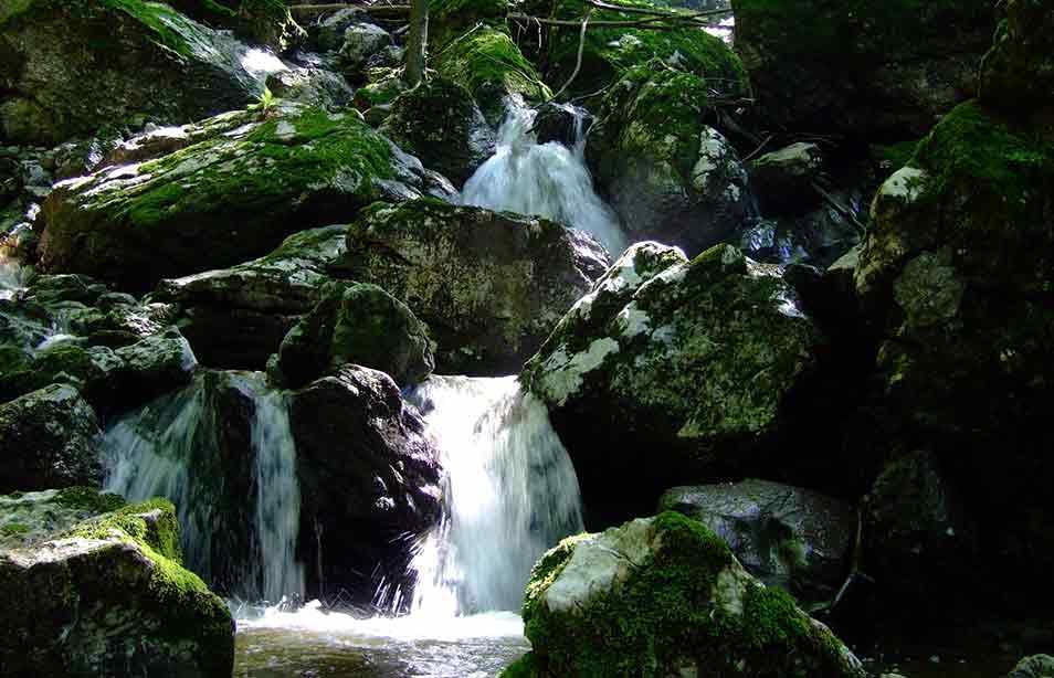 Apartman Bogojevic Golubac Esterno foto