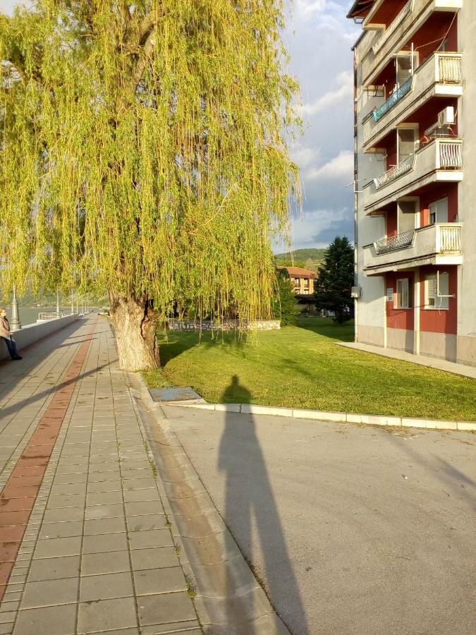 Apartman Bogojevic Golubac Esterno foto